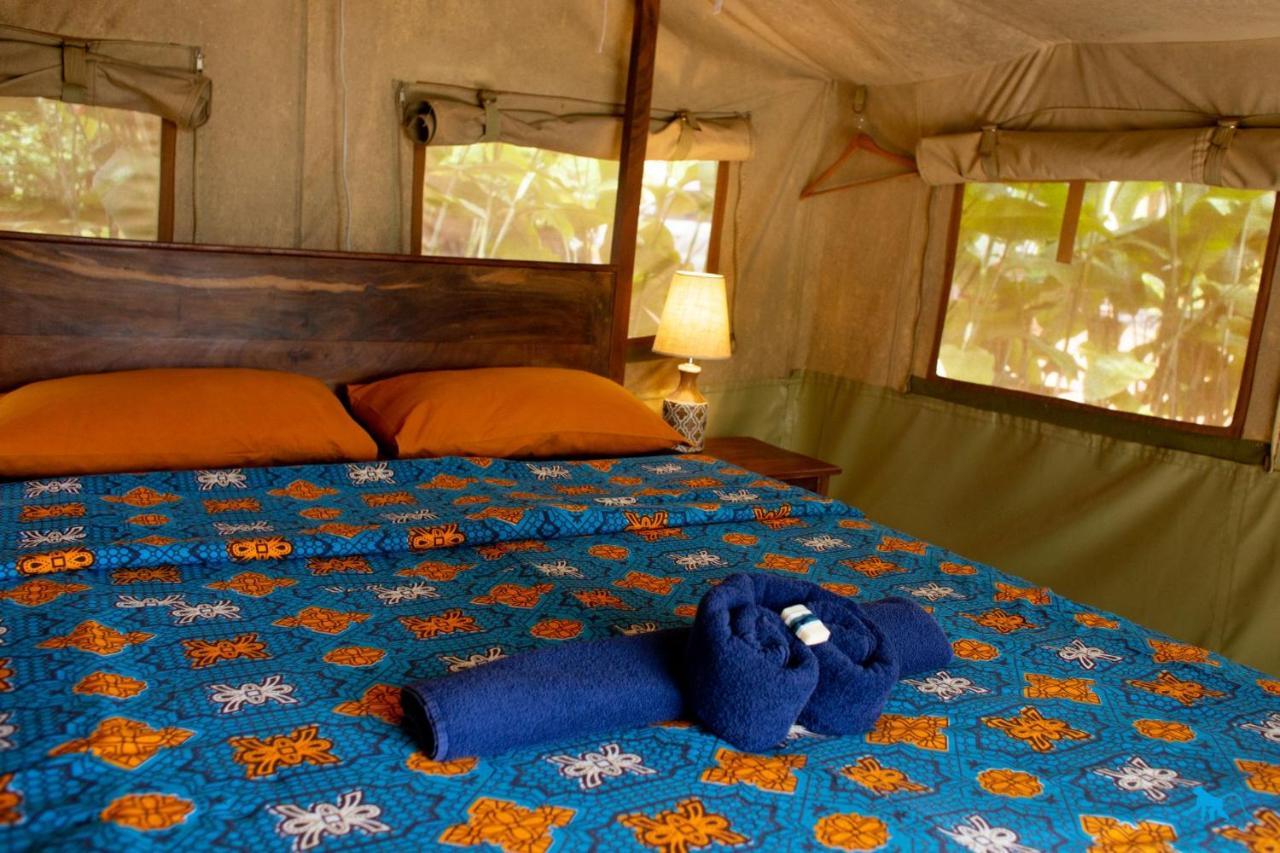 Bluemonkey Guesthouse エンテベ エクステリア 写真