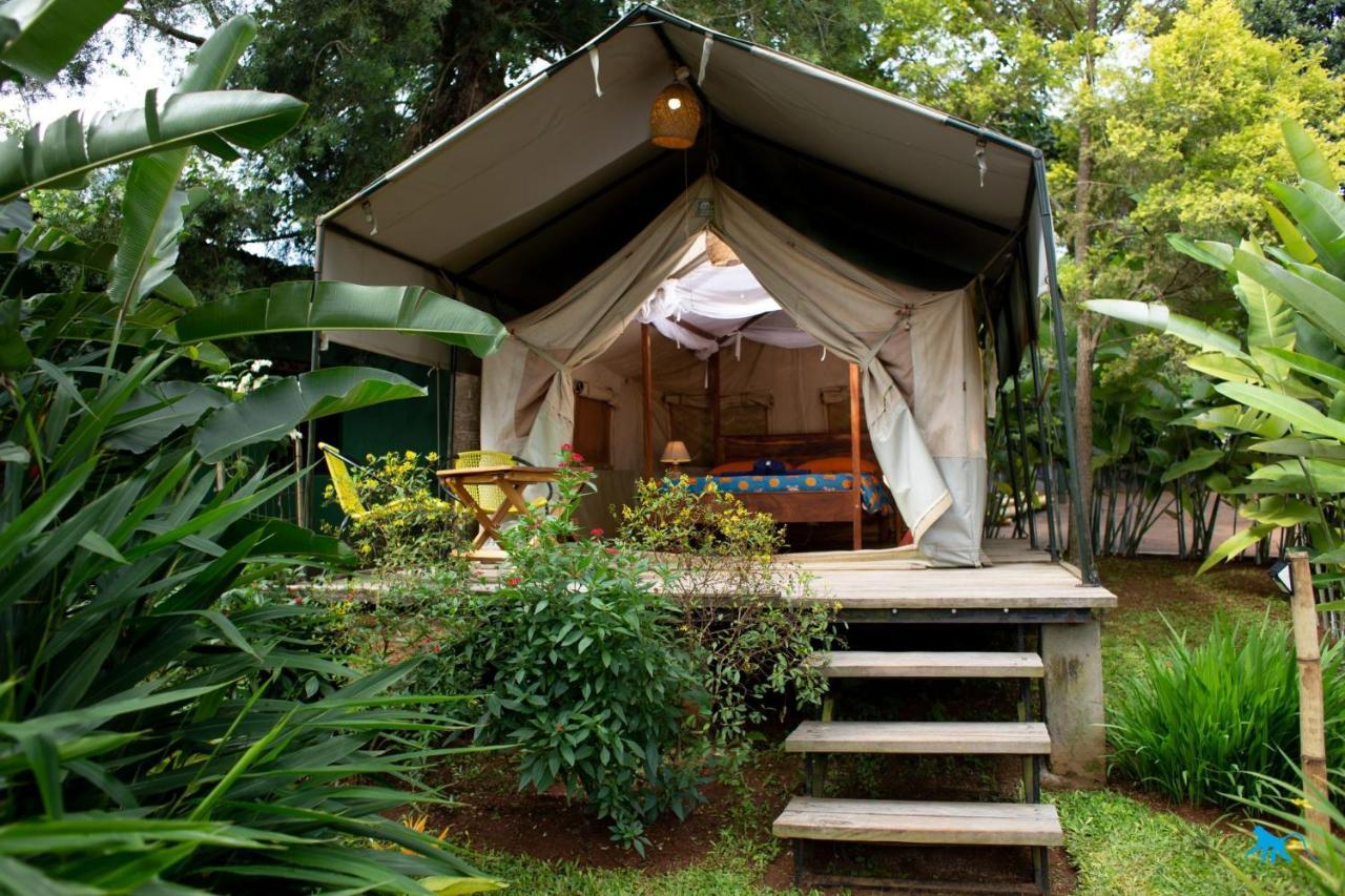 Bluemonkey Guesthouse エンテベ エクステリア 写真