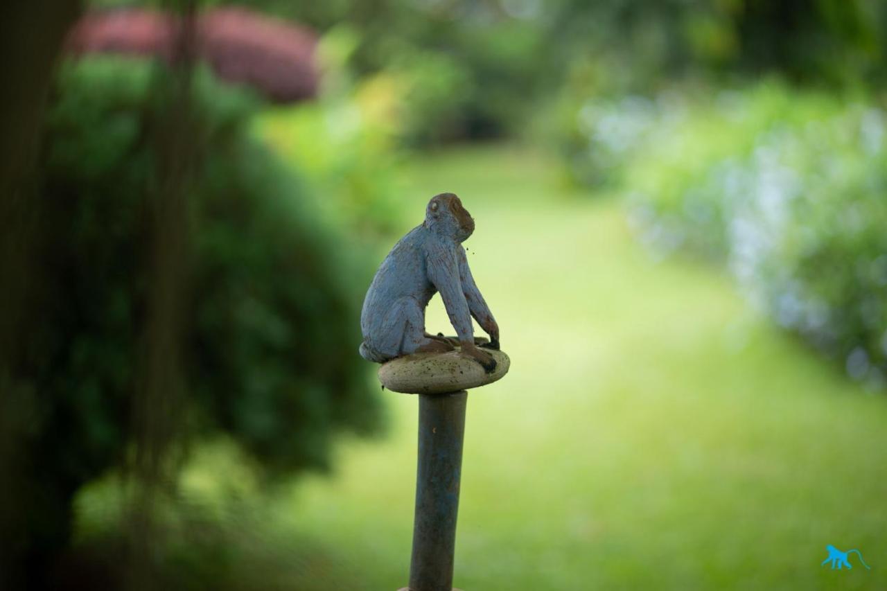 Bluemonkey Guesthouse エンテベ エクステリア 写真