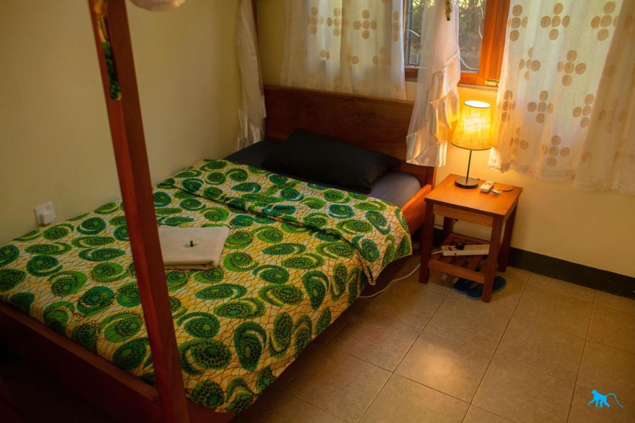 Bluemonkey Guesthouse エンテベ エクステリア 写真