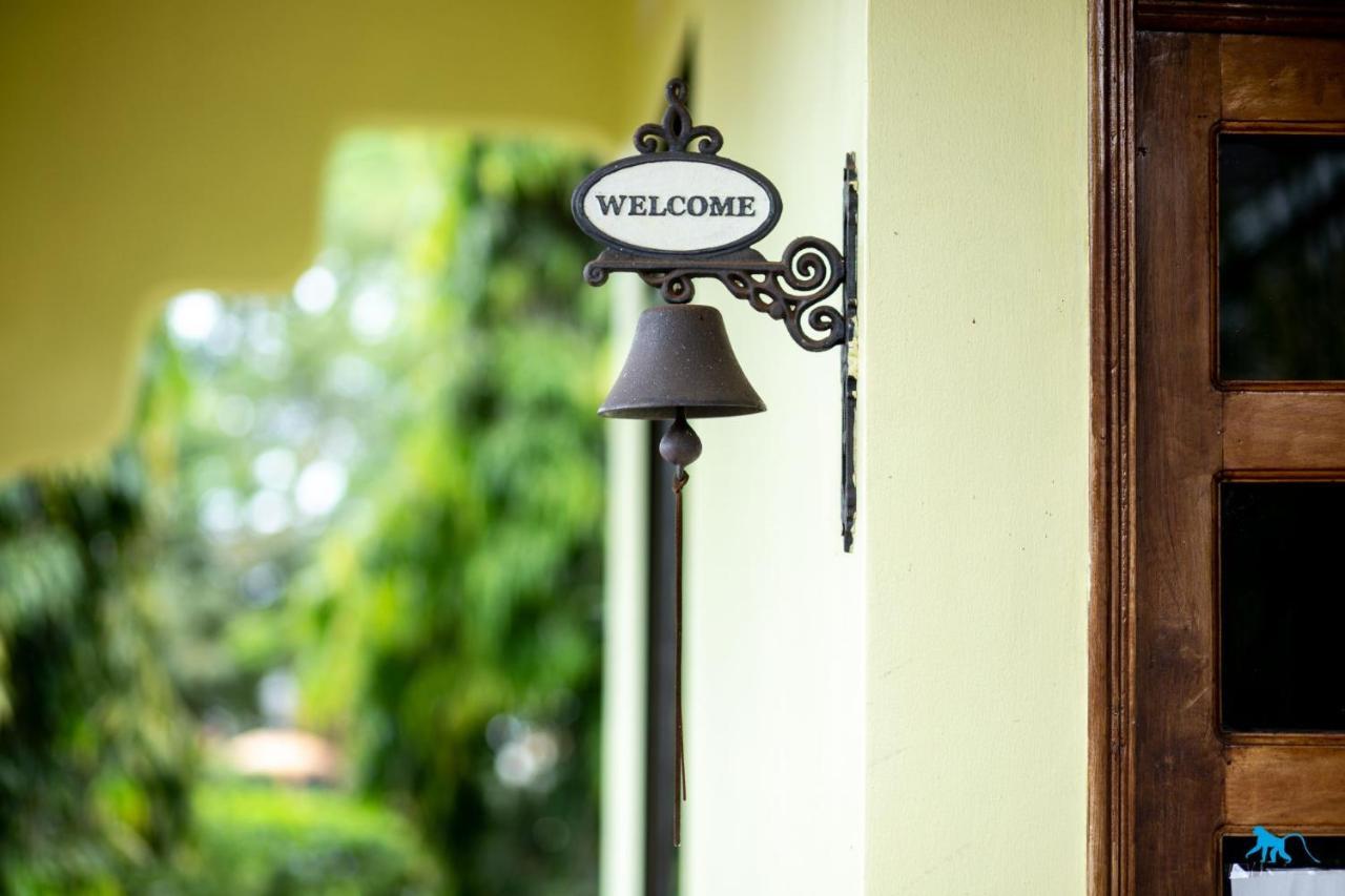 Bluemonkey Guesthouse エンテベ エクステリア 写真