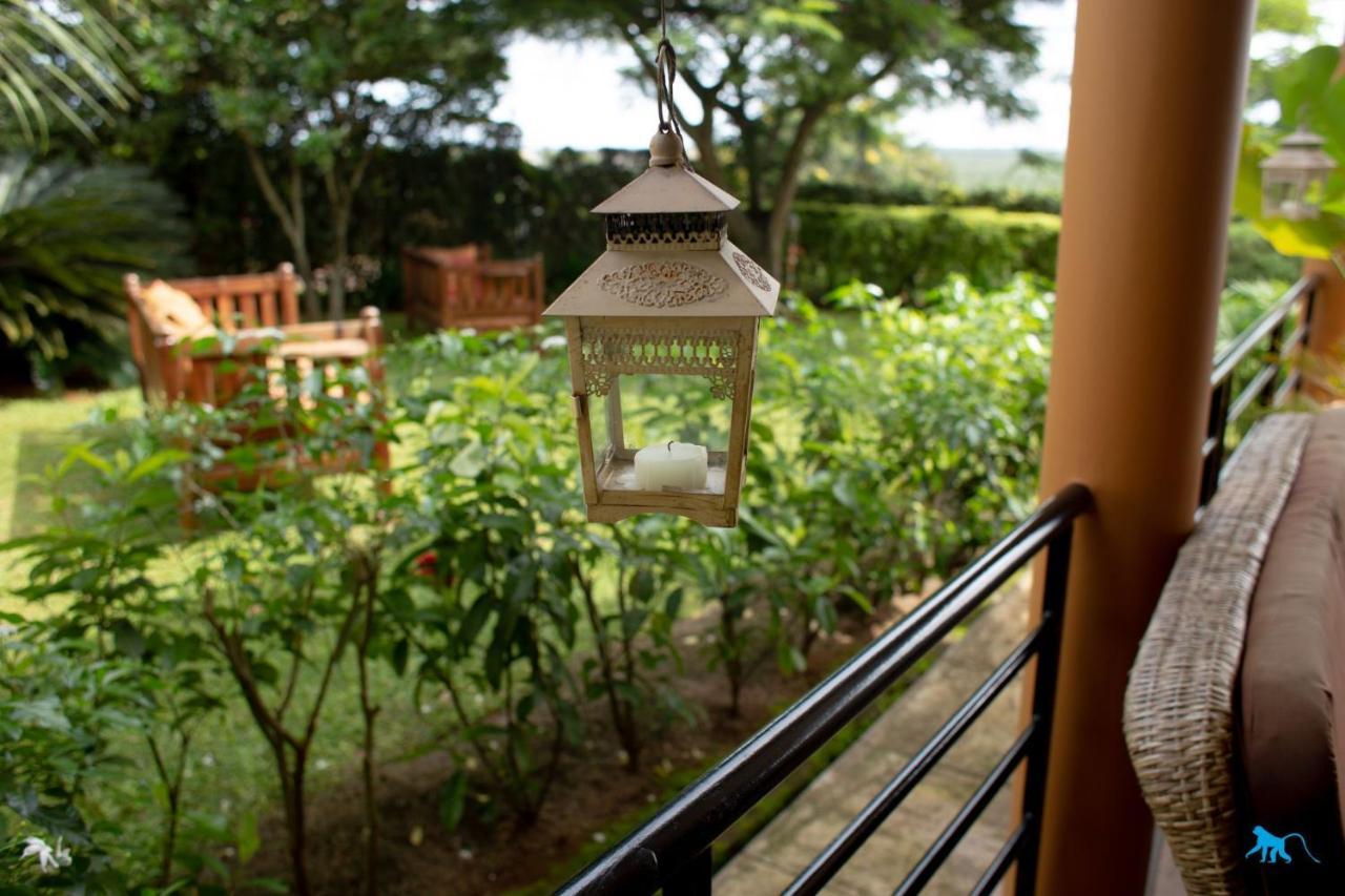 Bluemonkey Guesthouse エンテベ エクステリア 写真