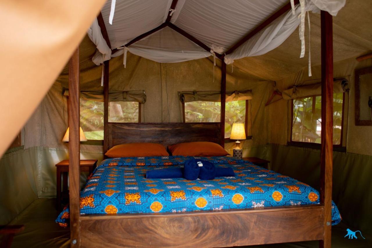 Bluemonkey Guesthouse エンテベ エクステリア 写真