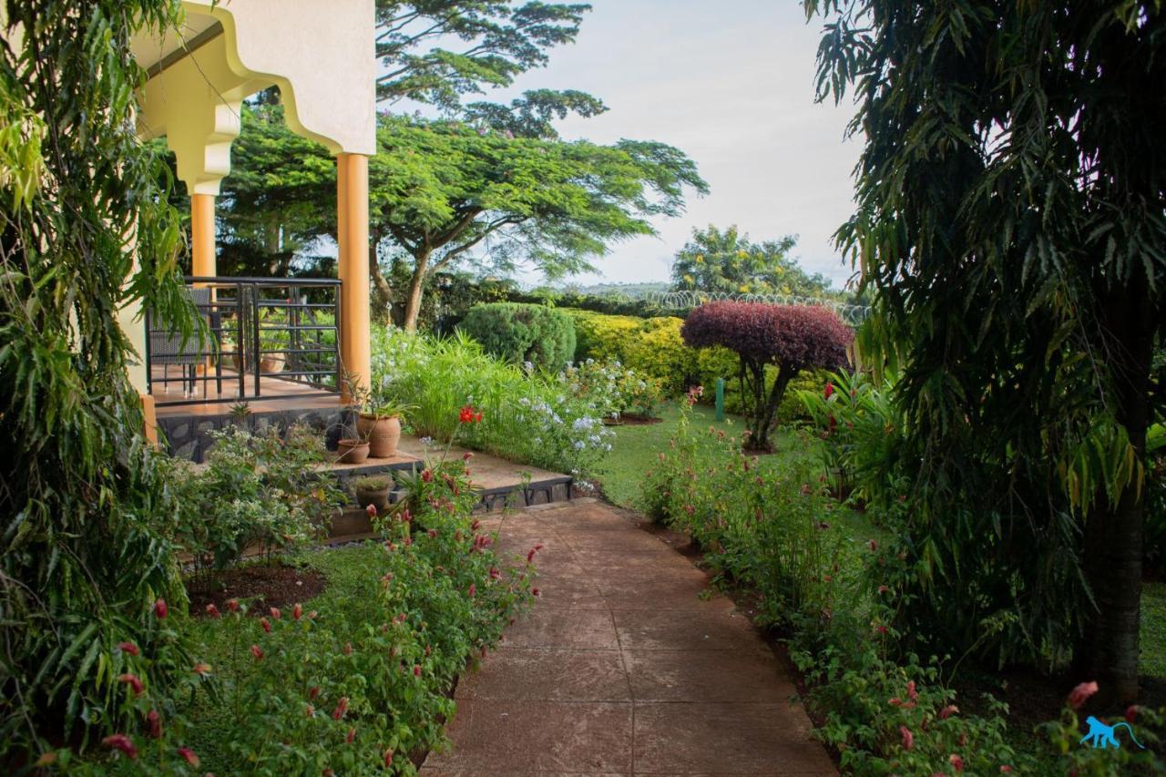Bluemonkey Guesthouse エンテベ エクステリア 写真